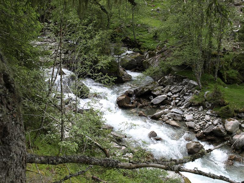 AUS01062009 (143).jpg